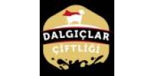 DALGIÇLAR