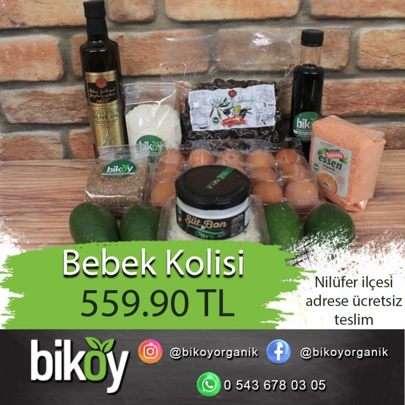 BABEK KOLİSİ