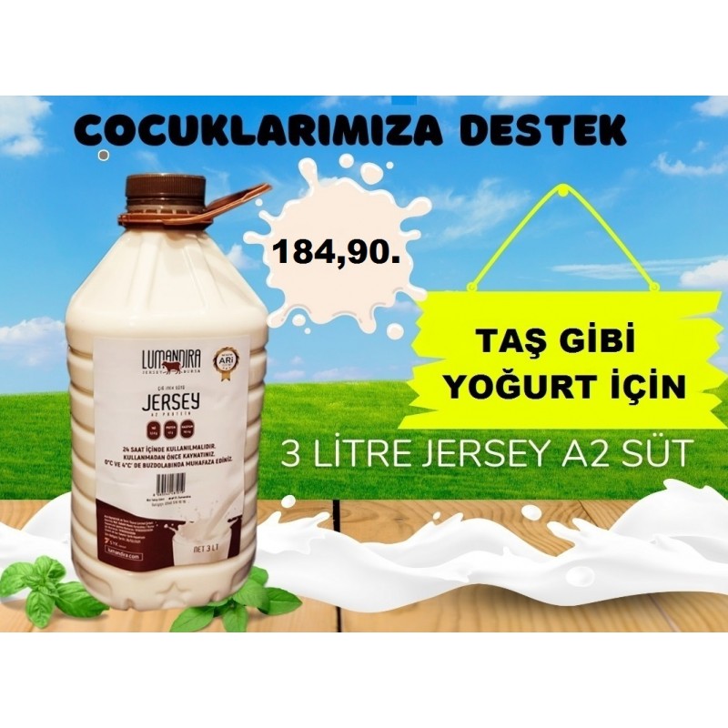 JERSEY A2 SÜT 3 LT